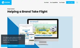 Preview of the Avian Enterprises Case Study