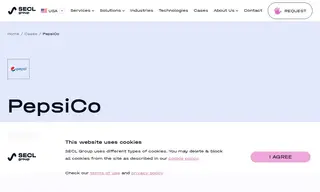 Preview of the PepsiCo Case Study