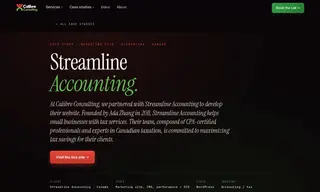 Preview of the Streamline Accounting Case Study