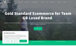 Preview of the Saddleback Case Study