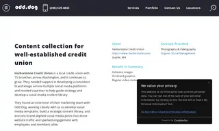 Preview of the Harborstone Credit Union Case Study