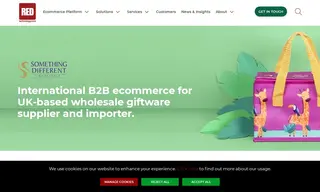 Preview of the Something Different Wholesale Case Study