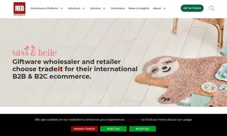 Preview of the Sass & Belle Case Study