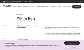 Preview of the Silverfish UK Ltd Case Study