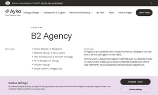 Preview of the B2 Agency Case Study