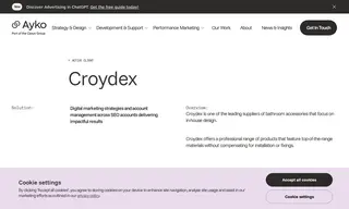 Preview of the Croydex Case Study
