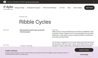Preview of the Ribble Cycles Case Study