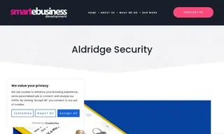 Preview of the Aldridge Security Case Study
