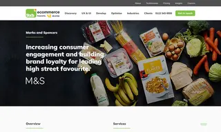 Preview of the Marks & Spencer Case Study