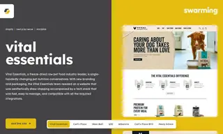 Preview of the Vital Essentials Case Study