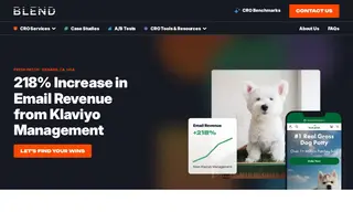 Preview of the Fresh Patch Case Study