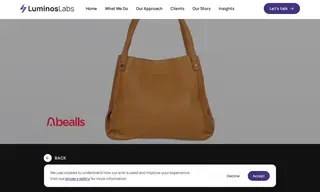 Preview of the Burkes Outlet Case Study
