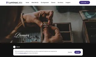 Preview of the Premier Designs Case Study