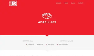 Preview of the AFA Fillies Soccer Club Case Study