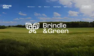 Preview of the Brindle & Green Case Study