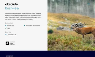 Preview of the BushWear Case Study