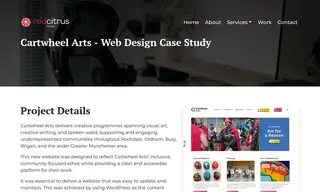 Preview of the Cartwheel Arts Case Study