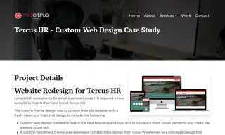 Preview of the Tercus HR Case Study