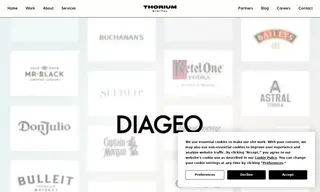Preview of the Diageo Case Study
