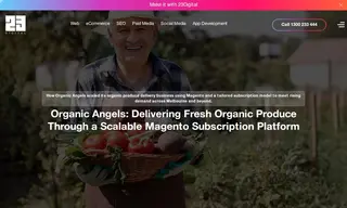 Preview of the Organic Angels Case Study