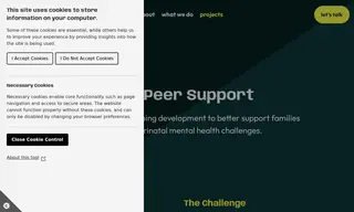 Preview of the Light Peer Support Case Study