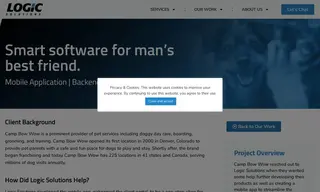 Preview of the Camp Bow Wow Case Study