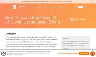 Preview of the You.com Case Study