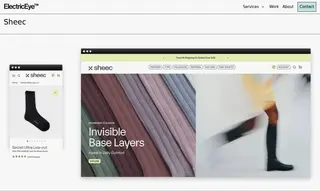 Preview of the Sheec Case Study