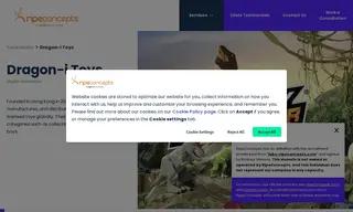 Preview of the Dragon-i Toys Case Study