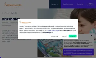 Preview of the Brushalot Case Study