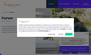 Preview of the Furvor Case Study