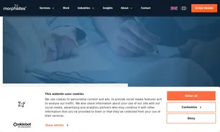 Preview of the Alerta Medical Case Study