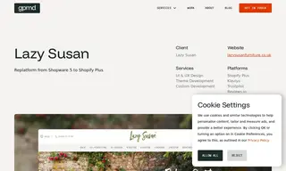 Preview of the Lazy Susan Case Study