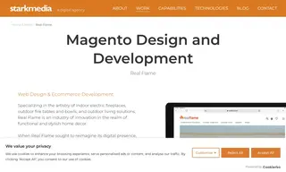 Preview of the Real Flame Case Study