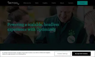 Preview of the Pets At Home Case Study