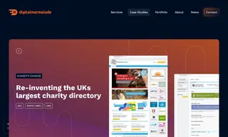 Preview of the Charity Choice Case Study