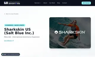 Preview of the Salt Blue Inc Case Study
