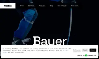 Preview of the Bauer Case Study