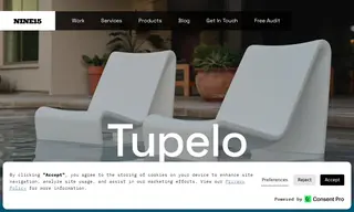 Preview of the Tupelo Case Study
