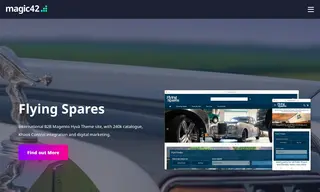 Preview of the Flying Spares Case Study