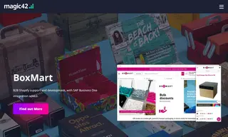 Preview of the BoxMart Case Study
