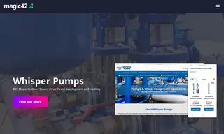 Preview of the Whisper Pumps Case Study