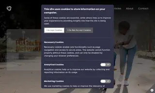 Preview of the The Fostering Network Case Study