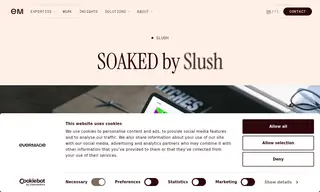 Preview of the Soaked by Slush Case Study