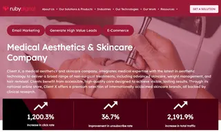 Preview of the Client X Case Study