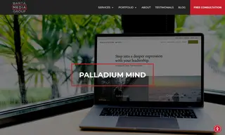 Preview of the Palladium Mind Case Study