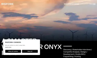 Preview of the Onyx Insight Case Study