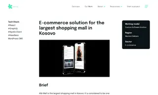 Preview of the Albi Mall Case Study