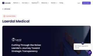 Preview of the Laerdal Medical Case Study