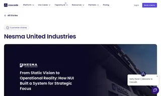 Preview of the Nesma United Industries Case Study